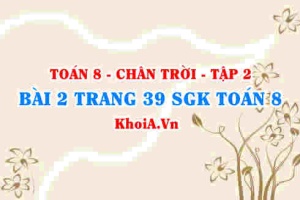 Bài 2 trang 39 Toán 8 Chân trời sáng tạo Tập 2